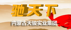 內蒙古天駿實業(yè)集團 網站設計 網站制作