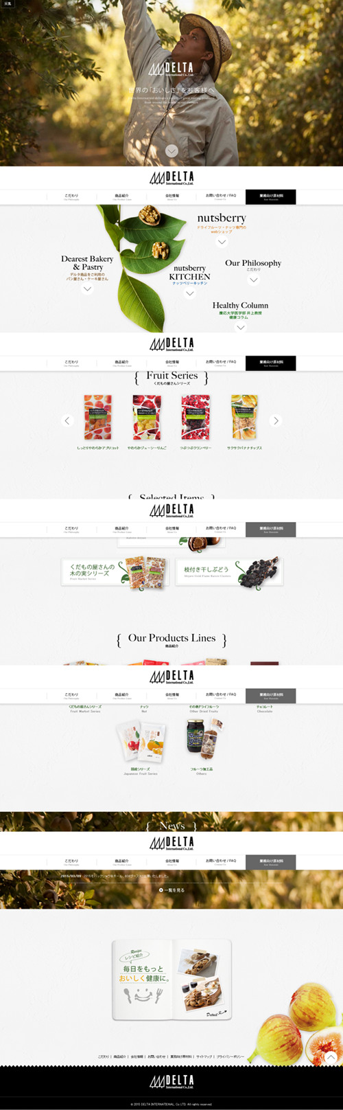 網(wǎng)站設計為什么大多數(shù)是豎向流動的！
