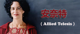 安奈特（中國）網絡有限公司 網站改版 程序開發(fā)
